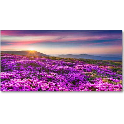 Foto obraz sklo tvrzené Kvety v horách 100x50 cm