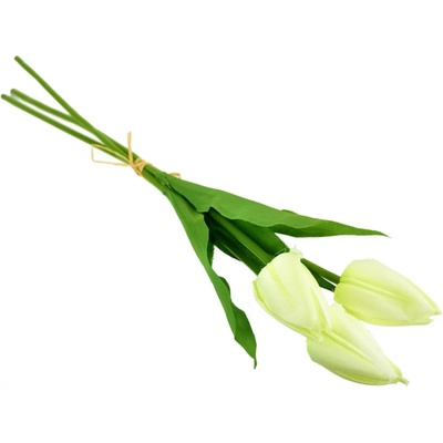 Svazek 3 ks tulipánů krémové 50 cm