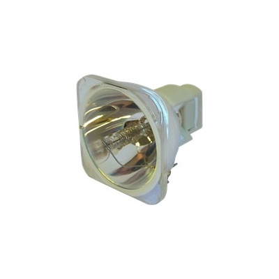 Lampa do projektora Dell 725-10089, kompatibilná lampa bez modulu