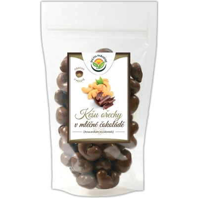 Salvia Paradise Kešu v mléčné čokoládě 30 g