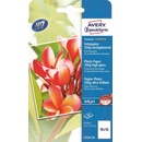 Avery C2549-50