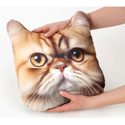 Škodák Detský 3D vankúš perzská mačka 30x25