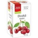 Apotheke DIVOKÁ ČEREŠŇA 20 x 2 g