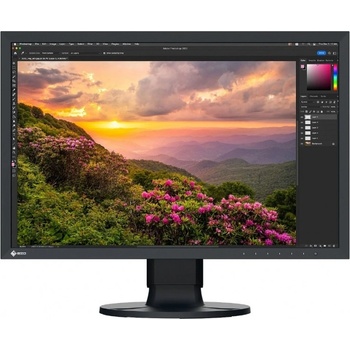Eizo CS2400S