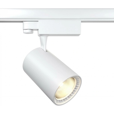 MAYTONI TR029-3-20W3K-S-W