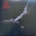 Zero Zeroes - Zero Zeroes LP