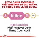 Krmivo pro kočky Royal Canin Maine Coon Kitten 10 kg
