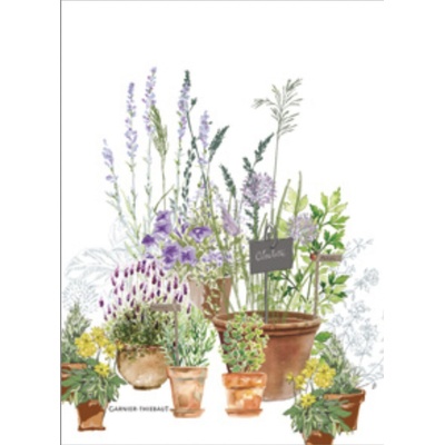 Garnier Thiebaut JARDIN AROMATIQUE PROVENCE 56 x 77 cm
