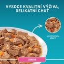 Purina One Junior mini filetky s lososem a mrkví ve šťávě 85 g