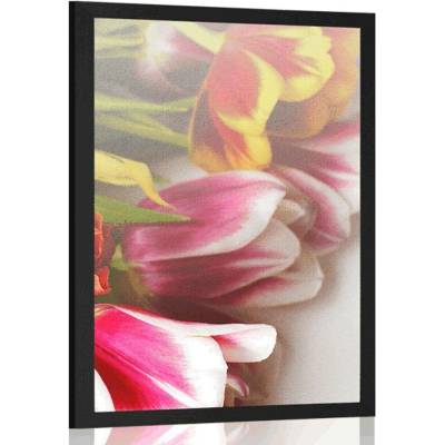 Plakát kytice barevných tulipánů - 20x30 silver