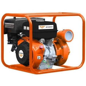 RURIS MP300XR (300xr2019)