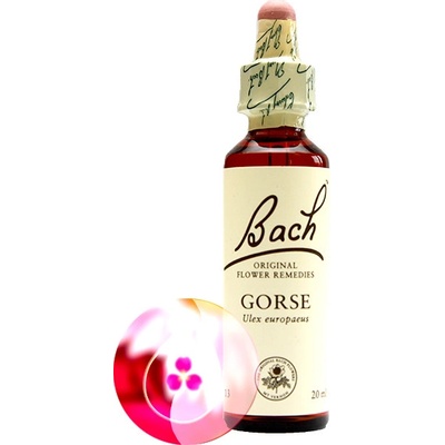 Bachovy květové esence Plané jablko Gorse 20 ml