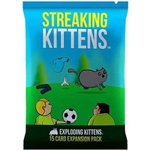 Mathew Inman Exploding Kittens Streaking Kittens