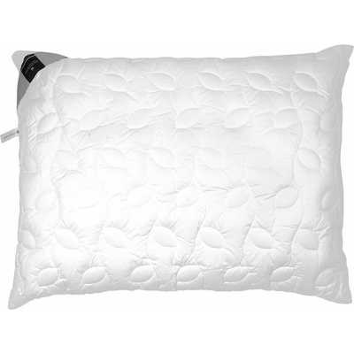 Billerbeck vankúš 40x60