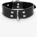 Taboom Heavy D-Ring Collar