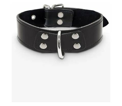 Taboom Heavy D-Ring Collar