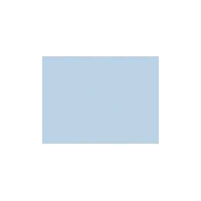 Rosco 203 Quarter CT blue