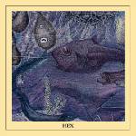 Warner Hex: hex - cd (047991)