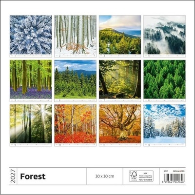 nástěnný Forest/Wald/Les 30cm x 30cm, N171-27 2027