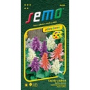 Semo Šalvia žiarivá - zmes 30s - séria Paleta farieb