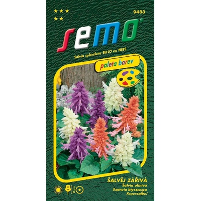 Semo Šalvia žiarivá - zmes 30s - séria Paleta farieb