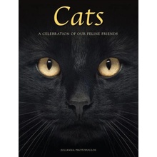 Cats, A Celebration of our Feline Friends Amber Books Ltd