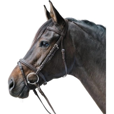 Uzdečka STAR Lifestyle s anglickým nánosníkem hnědá – Zboží Mobilmania