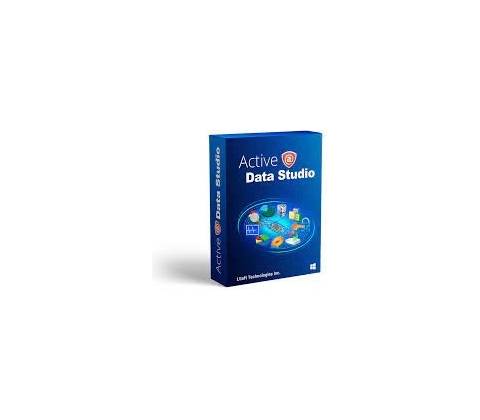 Active@ Data Studio, Site licence