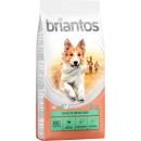 Granule pre psov Briantos Adult Sensitive jahňacie s ryžou 14 kg