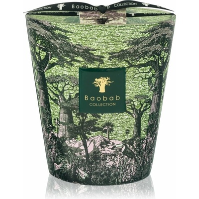 Baobab Collection Sacred Trees Touba 1100 g