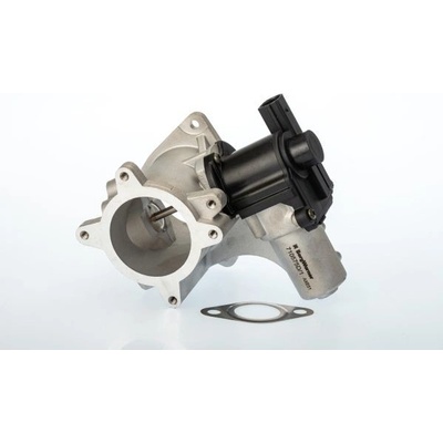 AGR-Ventil BorgWarner (Wahler) 710575D