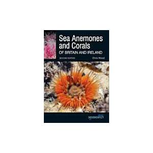 Sea Anemones and Corals of Britain and Ireland | Chris Wood (ISBN: 9780957394636)