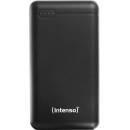 Intenso 7313550