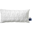 Billerbeck vankúš pod hlavu 40x80
