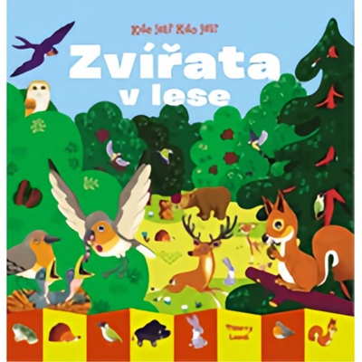 Kde jsi? Kdo jsi? Zvířata v lese