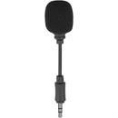 Lavalier Wireless