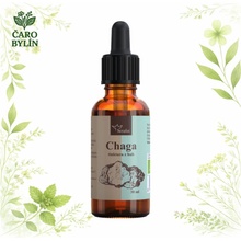 Serafin Chaga BIO Tinktúra z húb 30 ml