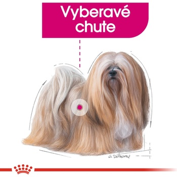 Royal Canin Exigent 12 x 85 g