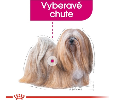 Royal Canin Exigent 12 x 85 g