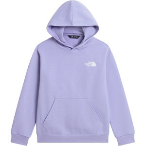 The North Face Детски суичър The North Face Kid's Evolution Box NSE Pullover Hoodie - Pale Plum - размер XXL (704-6509-0216)
