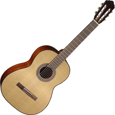 Cort AC100SG