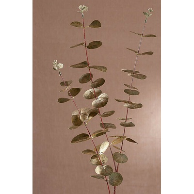 EUCALYPTUS zlatý 90 cm