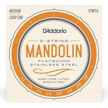 D'Addario EFW74