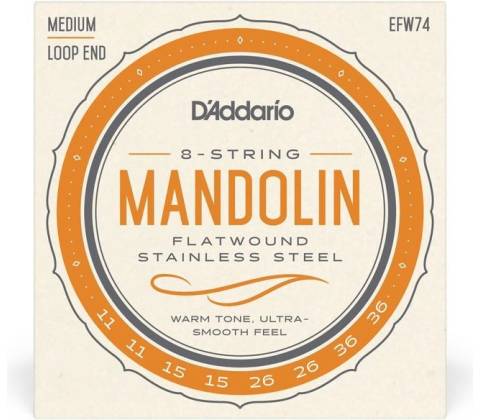 D'Addario EFW74