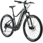 Leader Fox Altar Gent 29