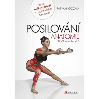 Posilování - anatomie - Pat Manocchia