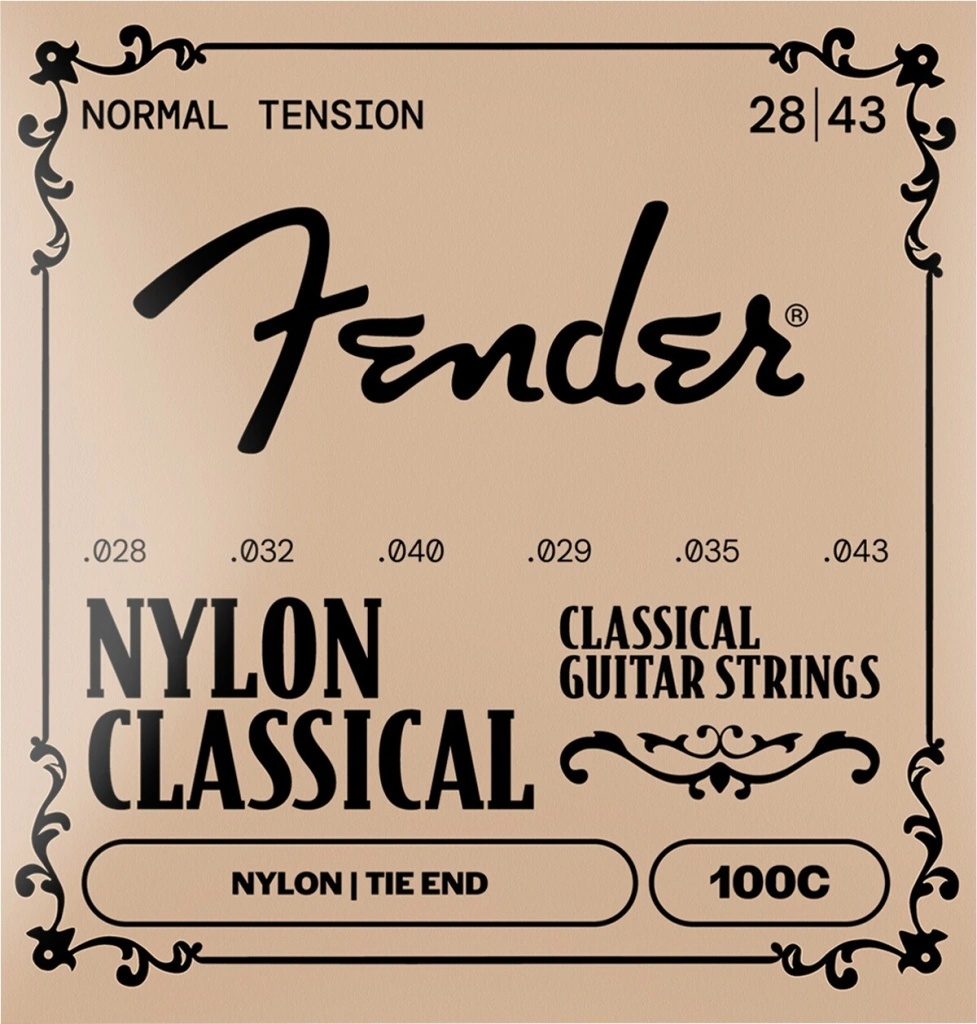 Fender 100 Clear/Silver