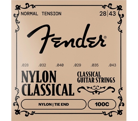 Fender 100 Clear/Silver