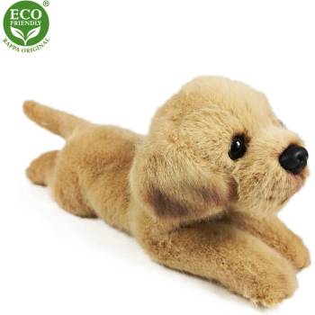 Eco-Friendly labrador ležící 20 cm