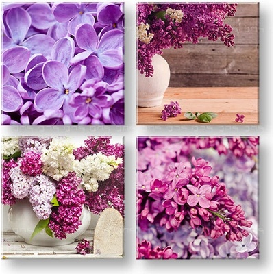 Obraz na stenu Lilacs - 40x40 cm